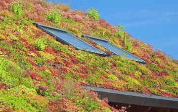 Hoxne living roof systems